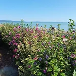 Toparti - * Balatonboglár