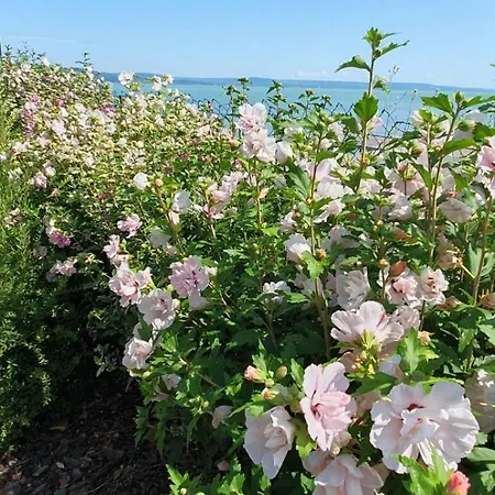 Toparti - Balatonboglár
