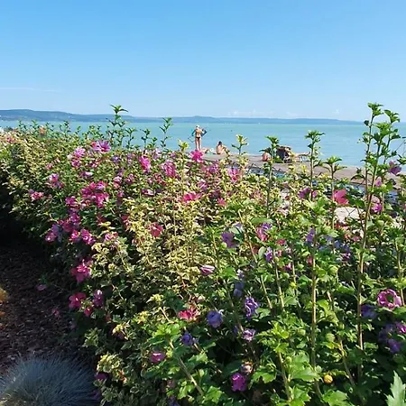 Tóparti - * Balatonboglár