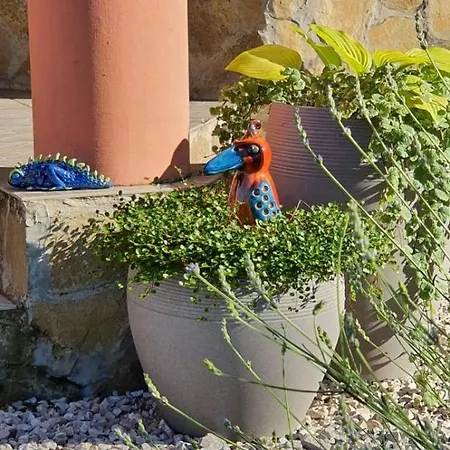 Toparti - * Balatonboglár