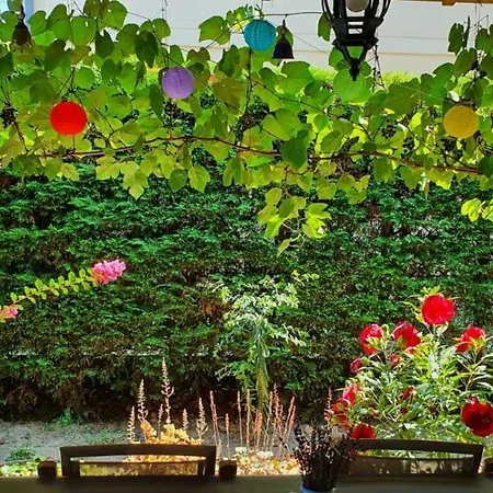 Tóparti - * Balatonboglár