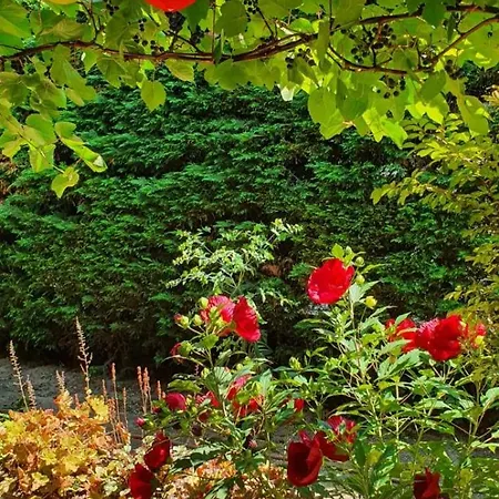 Toparti - * Balatonboglár