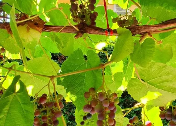 Toparti - Βίλα Balatonboglár