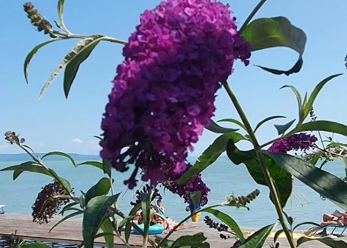 Toparti - Balatonboglár