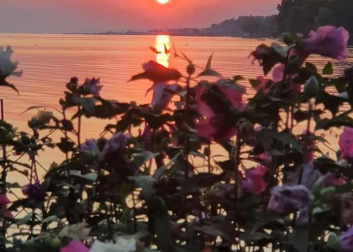 Toparti - Вилла