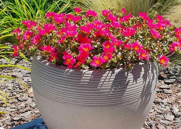 Toparti - Вилла