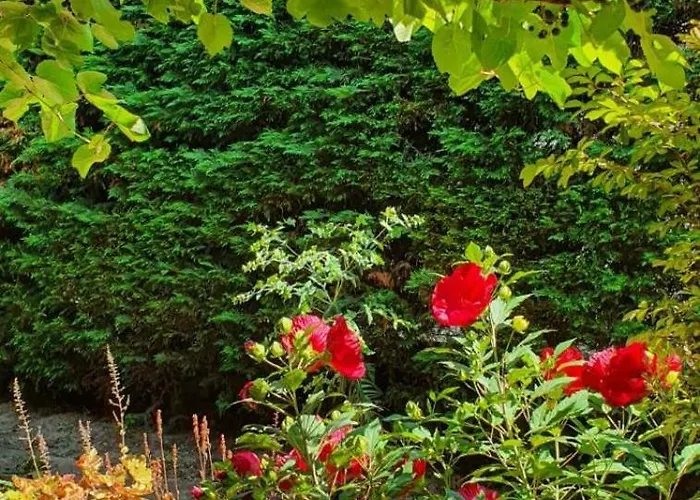 Toparti - * Балатонбоглар