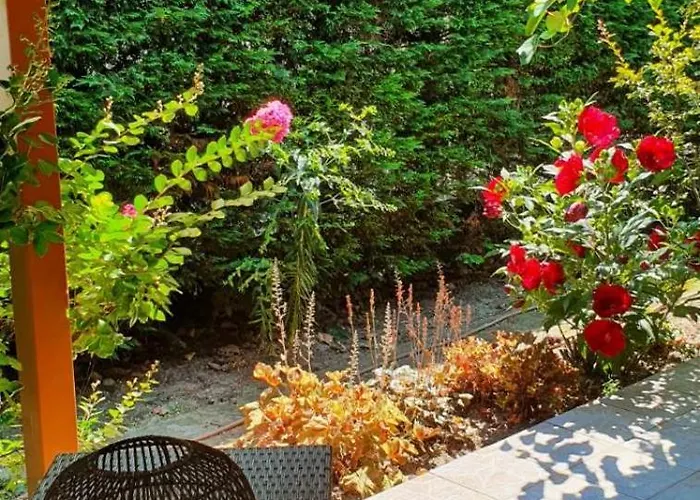 Βίλα Toparti - *